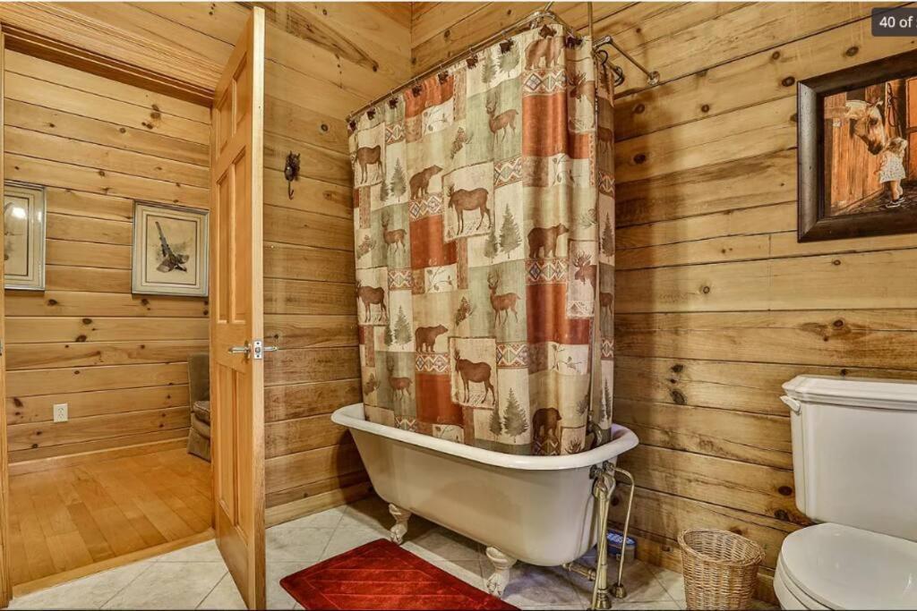 Blue Ridge Bliss- Spacious Cabin, Pets, Hot Tub! 外观 照片