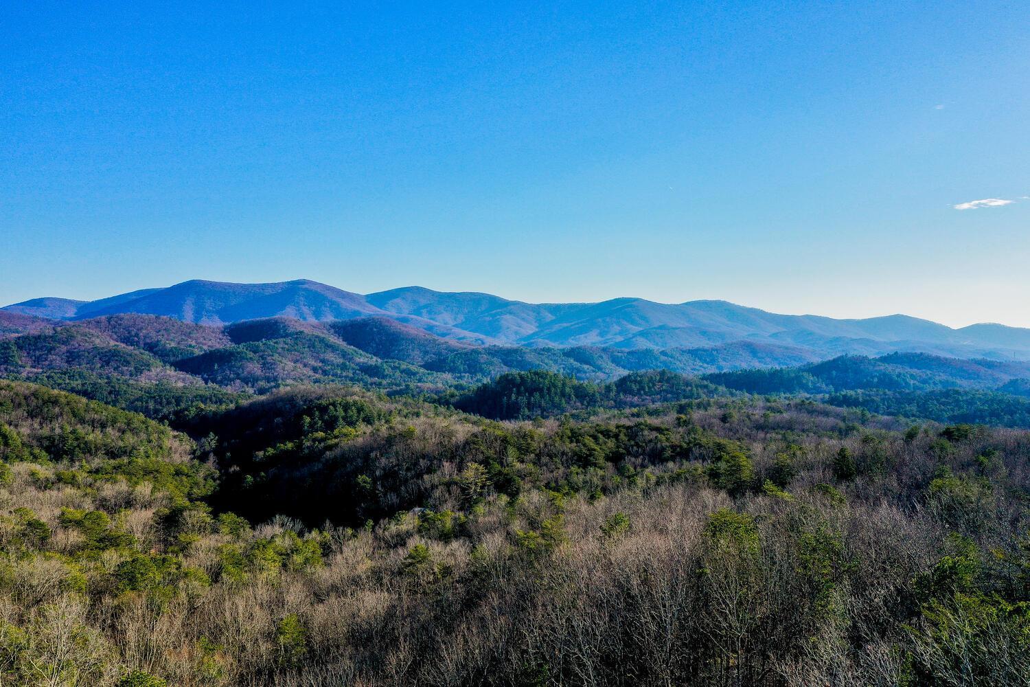 Blue Ridge Bliss- Spacious Cabin, Pets, Hot Tub! 外观 照片